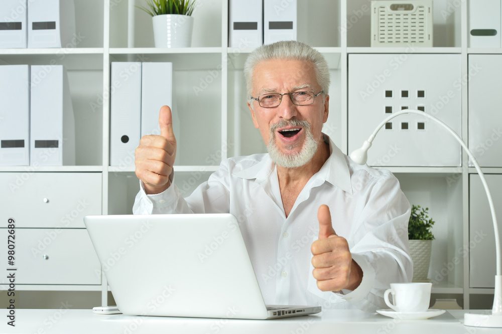 Mature businessman working with laptop Mature businessman working with laptop