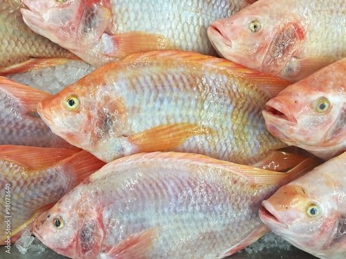 Fresh red tilapia fish on ice