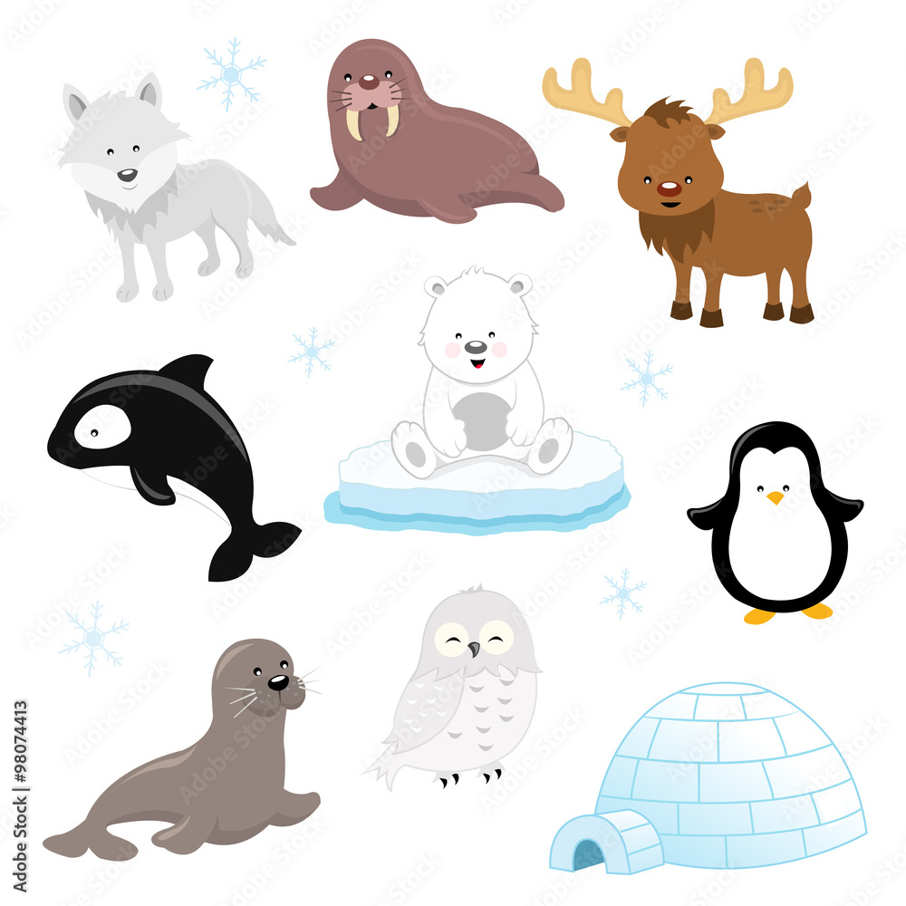 Arctic Animal Set Arctic Animal Set