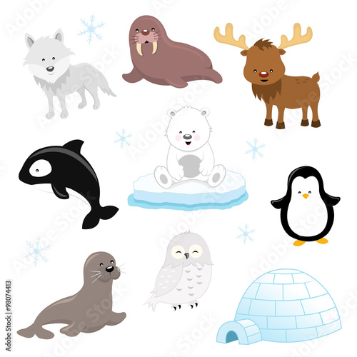 Arctic Animal Set