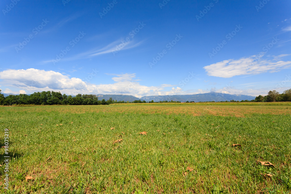 Agriculture, uncultivated field