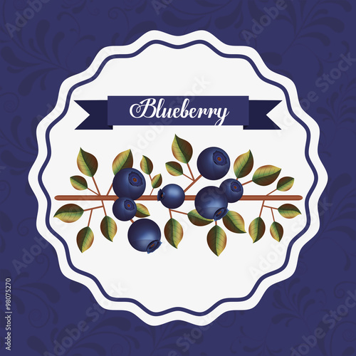 delicious blueberry design 