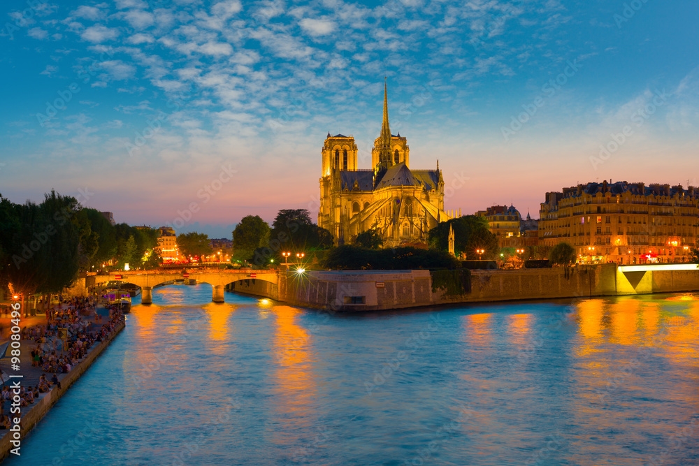 Fototapeta premium View of Notre Dame de Paris at night
