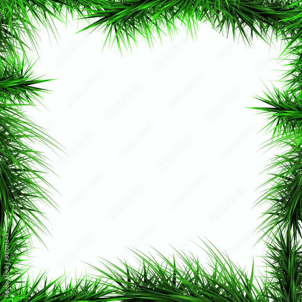 frame, green branches of a Christmas tree isolated on a white ba