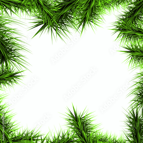 green branches of a Christmas tree isolated on a white backgroun