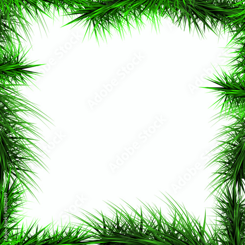 frame  green branches of a Christmas tree isolated on a white ba