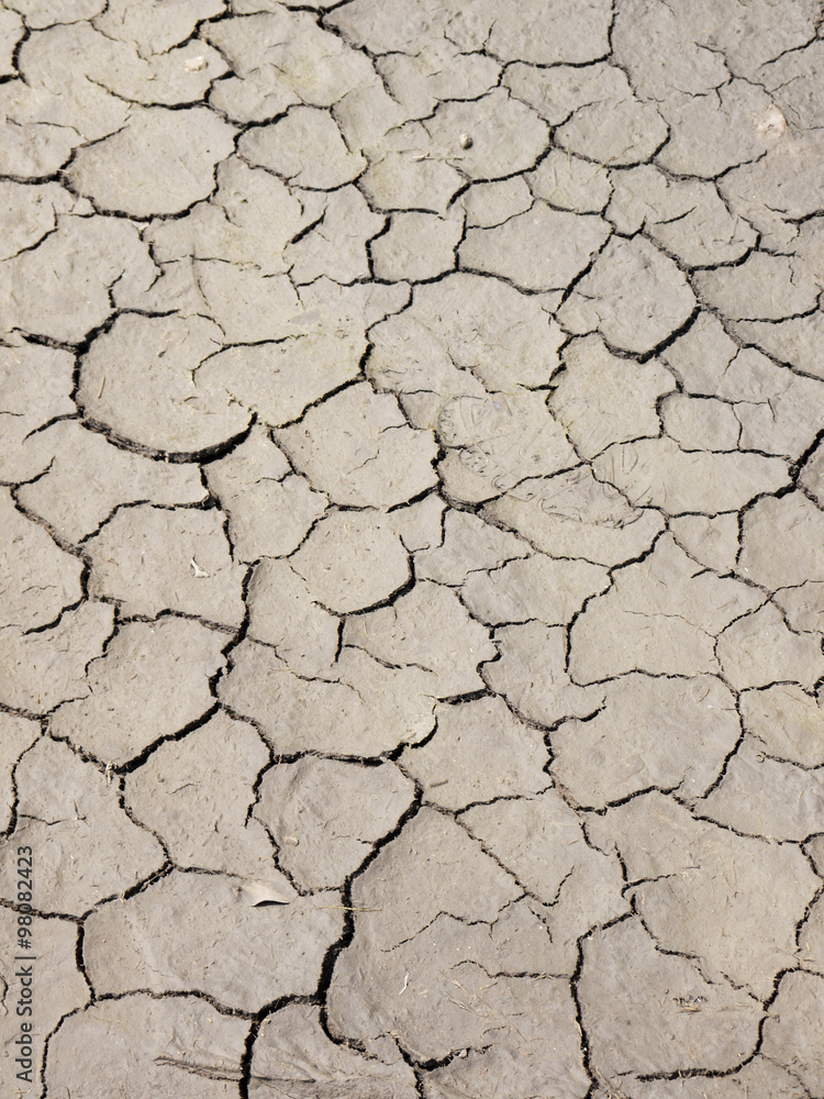 Fototapeta premium Cracked soil by drought