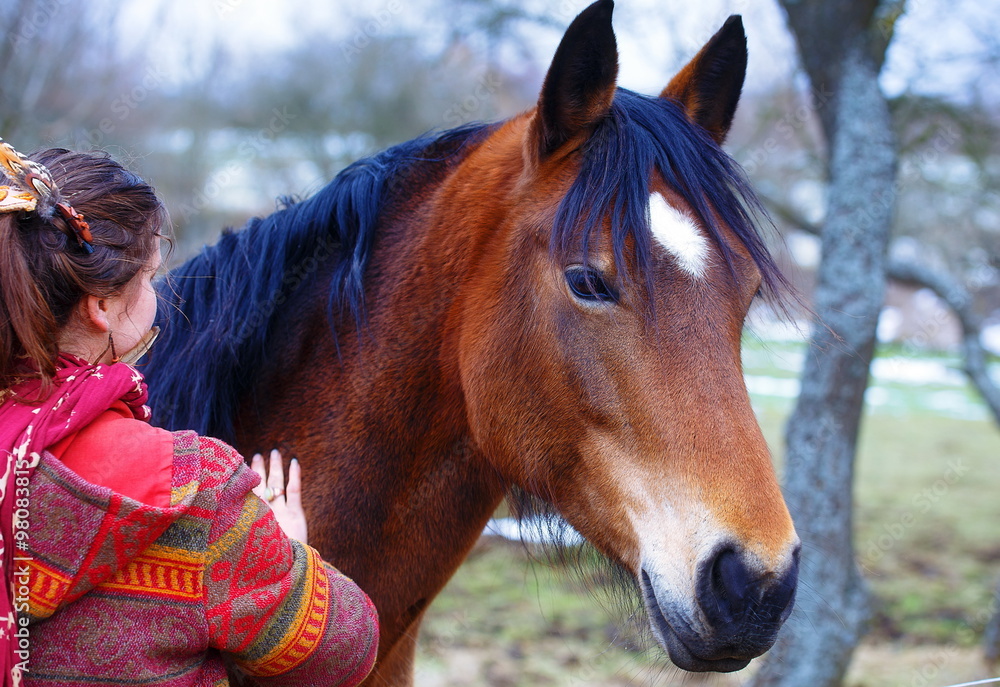 Fototapeta premium portrait woman and horse in outdoor