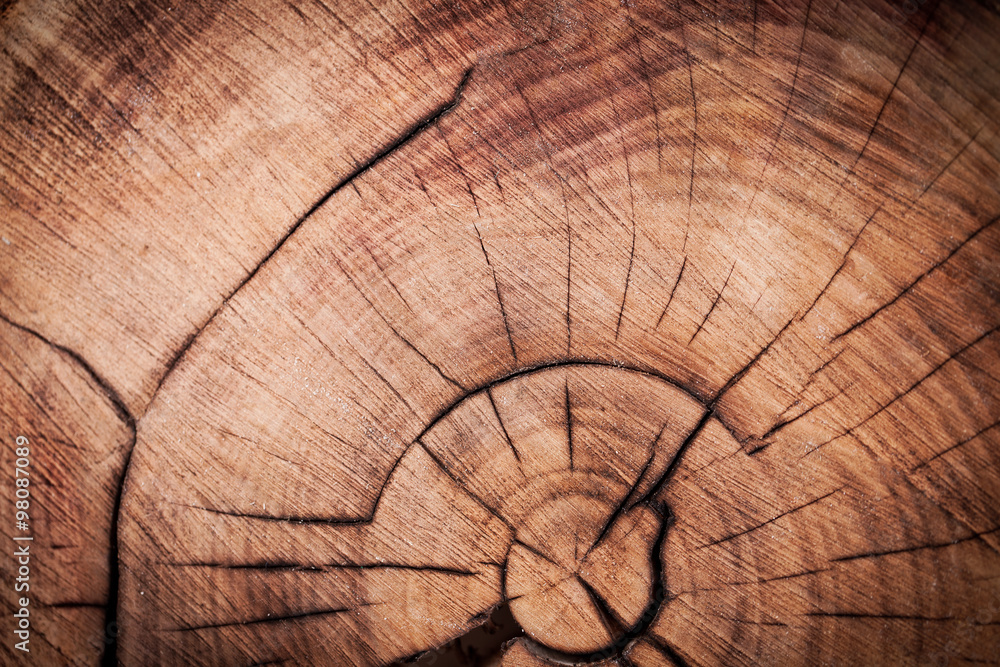Fototapeta premium Wood background
