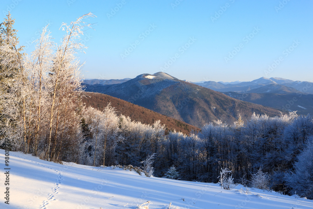 Winter landscape in Carpathians