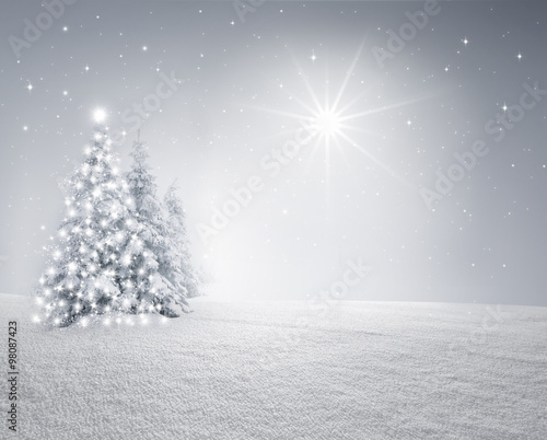 Leuchtender Tannenbaum im Winterwald