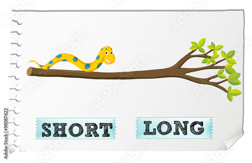 Opposite adjectives short and long