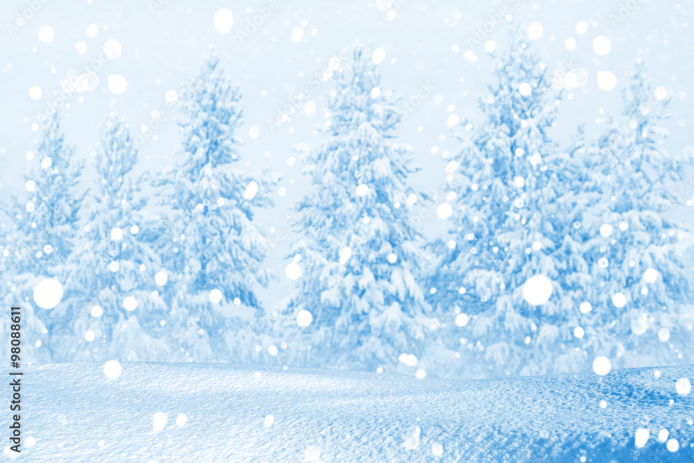 Christmas background with snowdrifts and the coniferous snow-covered forest