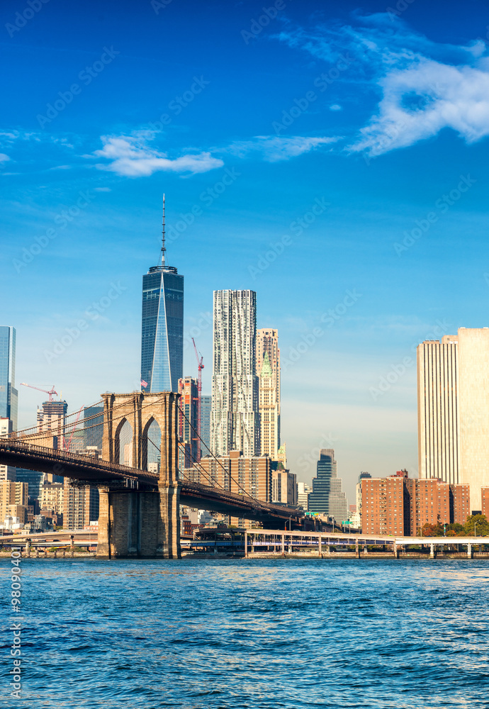 Beautiful Lower Manhattan skyline. Buildings of New York - obrazy, fototapety, plakaty 