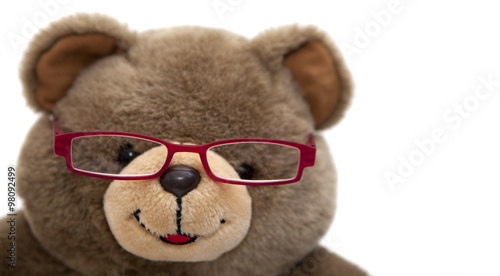 visage d'ours en peluche lunettes de vue