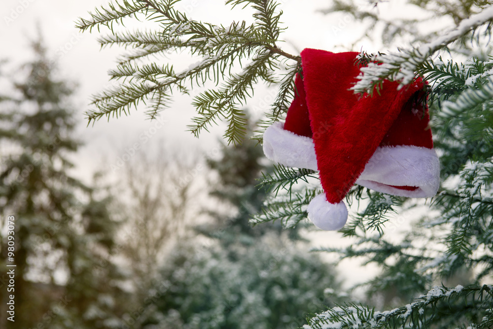 red Santa hat hanging on a branch