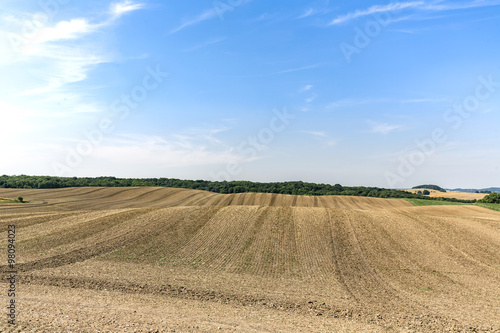 landscape with arable land and forest in summer