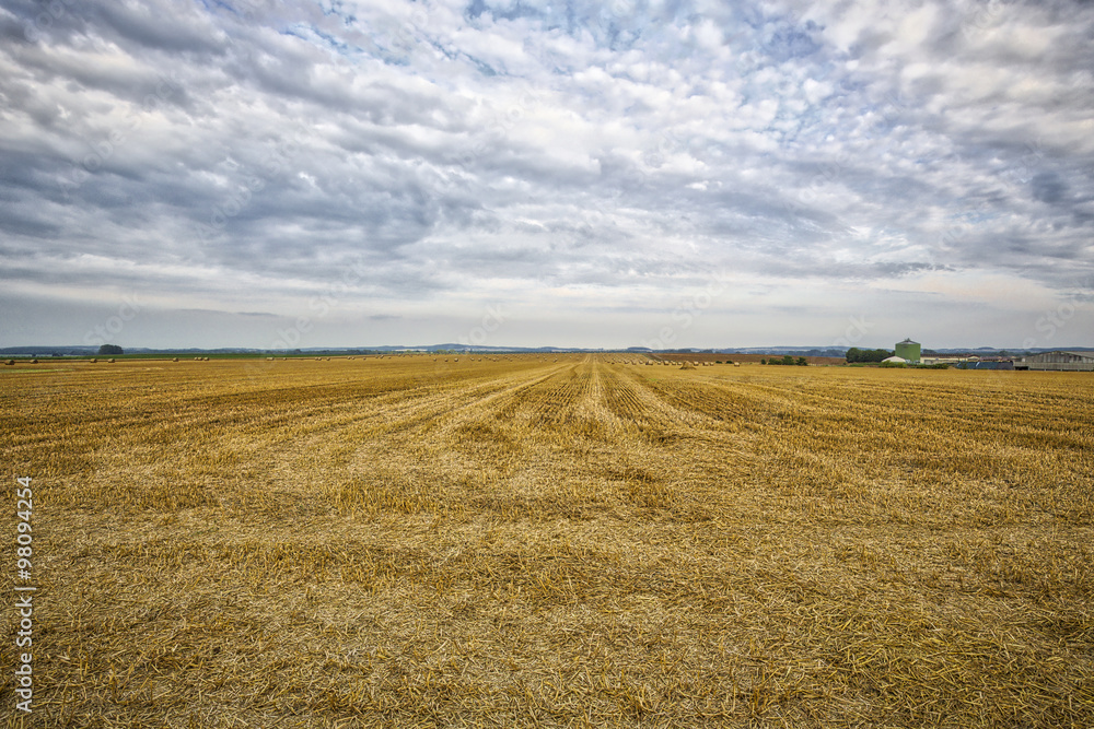 HDR of an harvested field with cloudscape in summer