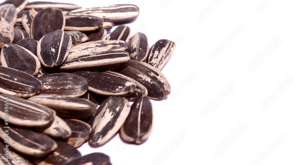 sunflower seeds on isolated background, Rotation sunflower seeds on isolated background, Rotation