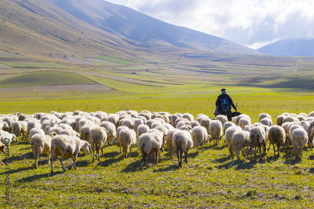 Naklejka premium pasterz ze stadem owiec w górach Sibillini we Włoszech