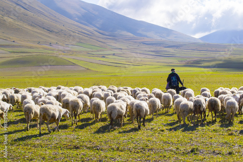 pastore con gregge di pecore sui monti Sibillini, Italia
