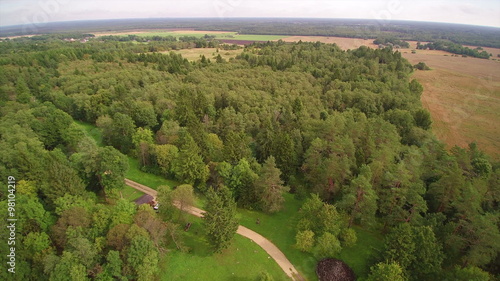 Top view of the green forest in Enumagi. The big forest with green trees and the brown hay field on the side photo