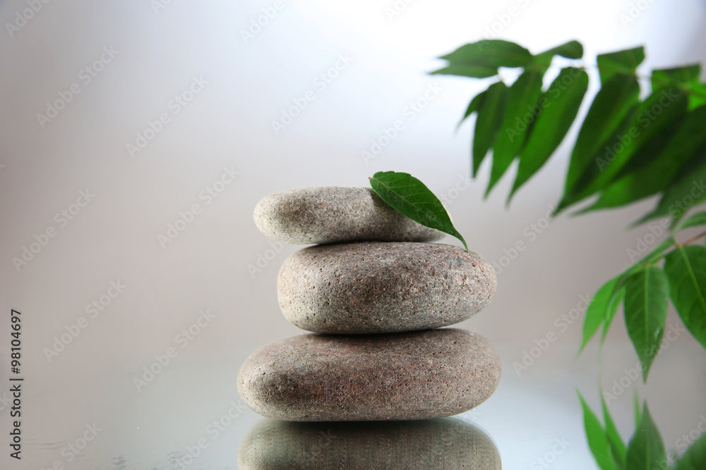Spa stones and green branch on grey background Spa stones and green branch on grey background