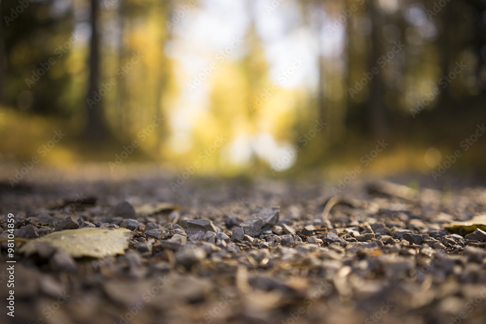 Gravel on Rural Country Road Through Forest Gravel on Rural Country Road Through Forest