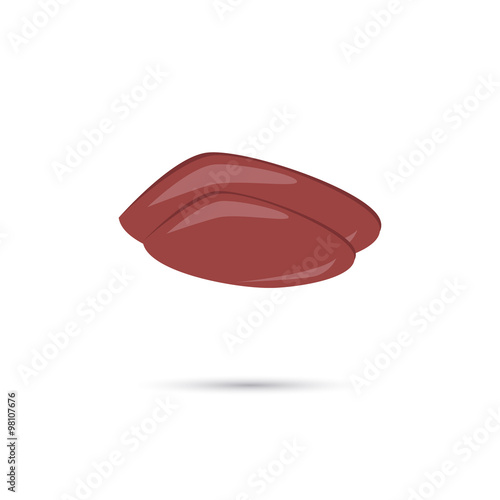Liver icon