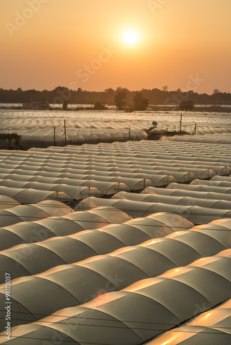 Greenhouses at sunrise © sezer66