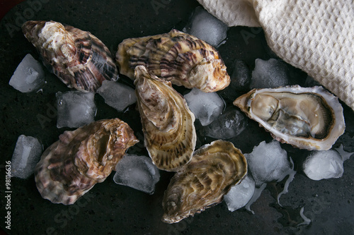 Oysters and ice © mahony
