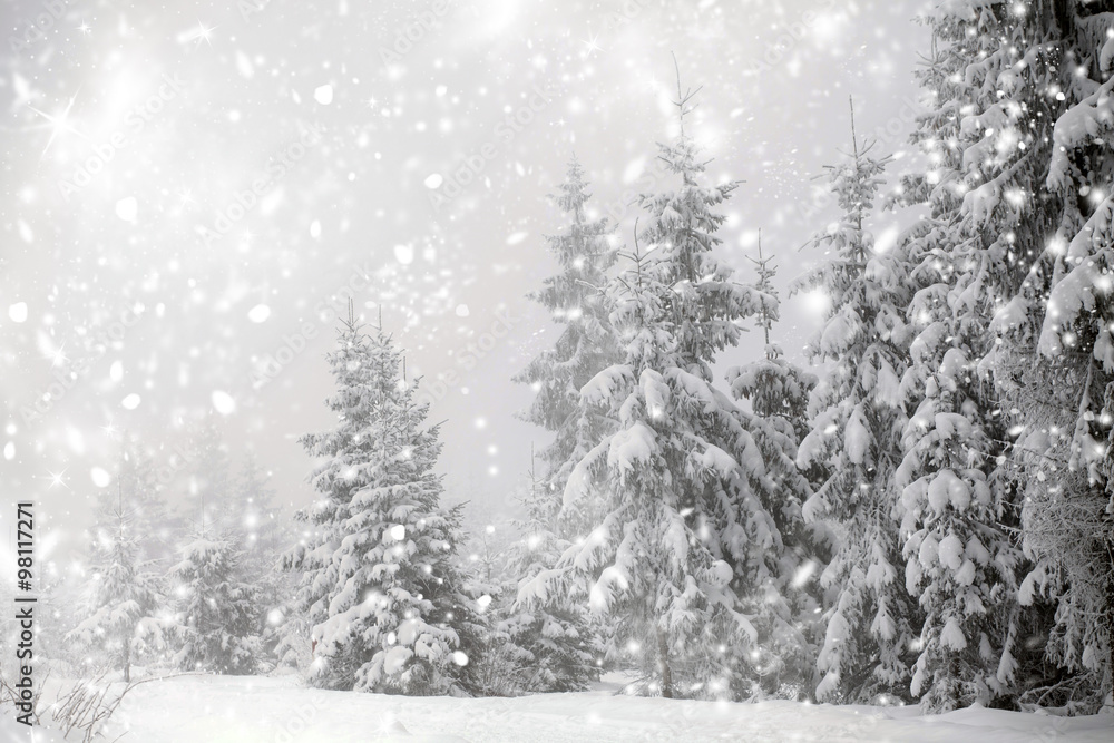 Fototapeta premium Christmas background with snowy fir trees