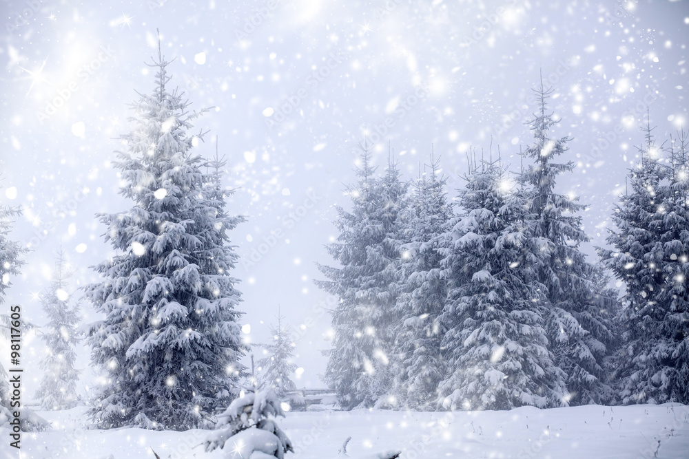 Obraz premium Christmas background with snowy fir trees
