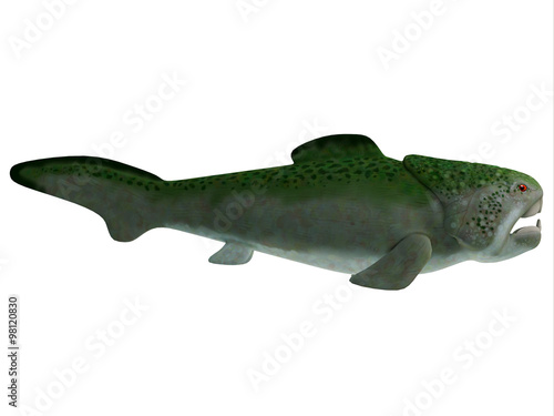 Devonian Dunkleosteus Fish - Dunkleosteus is an extinct placoderm fish that lived in seas of North America in the Devonian Period.