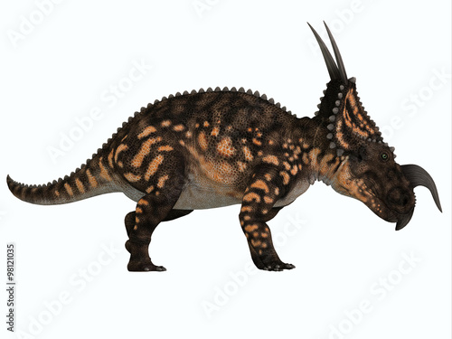 Einiosaurus Side Profile - Einiosaurus was a herbivorous ceratopsian dinosaur that lived in the Cretaceous Age of Montana, North America. © Catmando