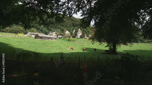 Veluwe farmhouse on hillside pan beech lane in forest, in shade. photo