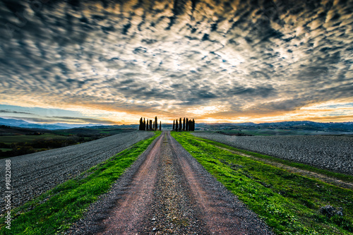 Typical landscape of Tuscany. A cypress avenue leading to a farm in the Val D'Orcia.