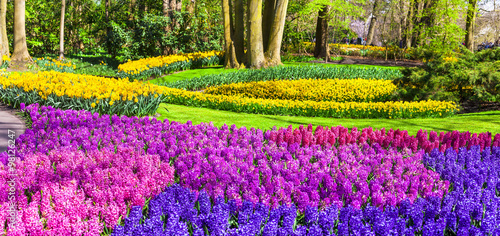 amazing floral park Keukenhof in Holland