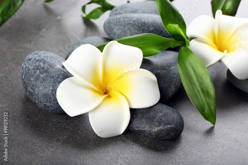 Hot spa stones with flowers and bamboo on grey background, close-up