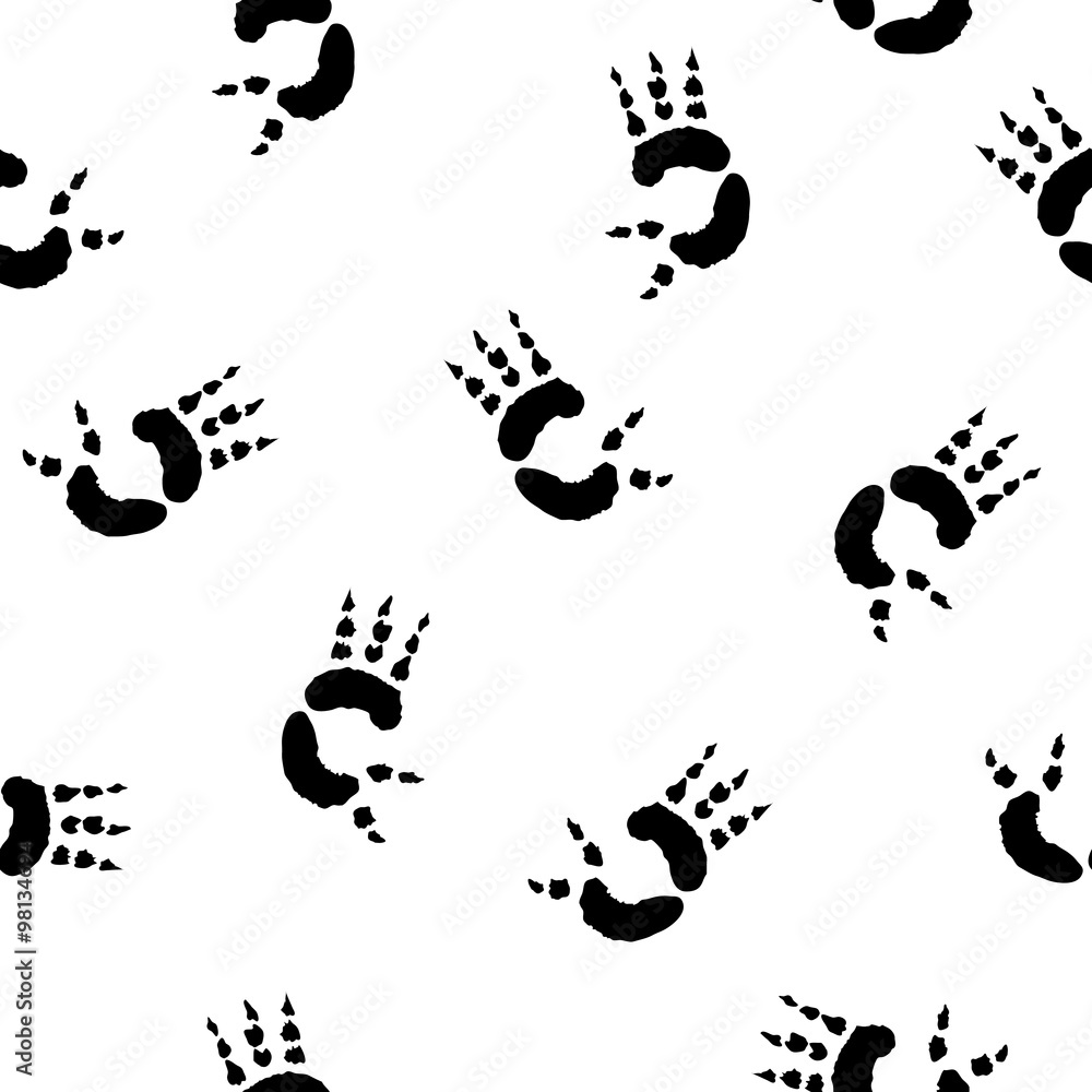 Obraz premium Koala footprint seamless pattern, vector Illustration