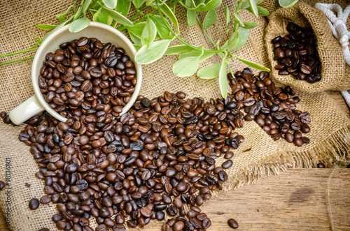 coffee beans