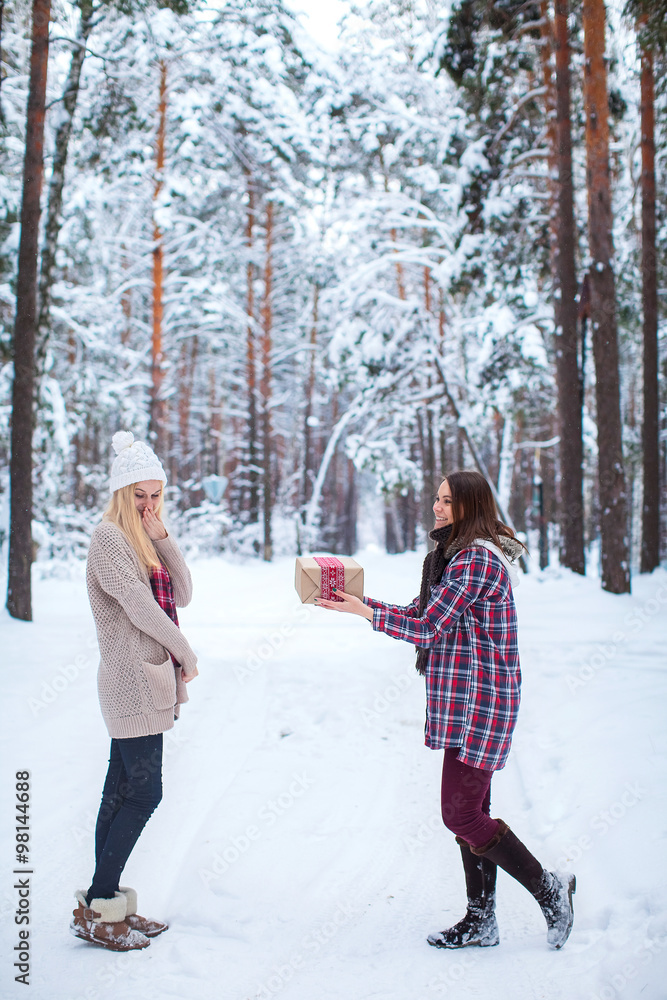 Naklejka premium girl gives her friend a Christmas gift in the winter snowy forest