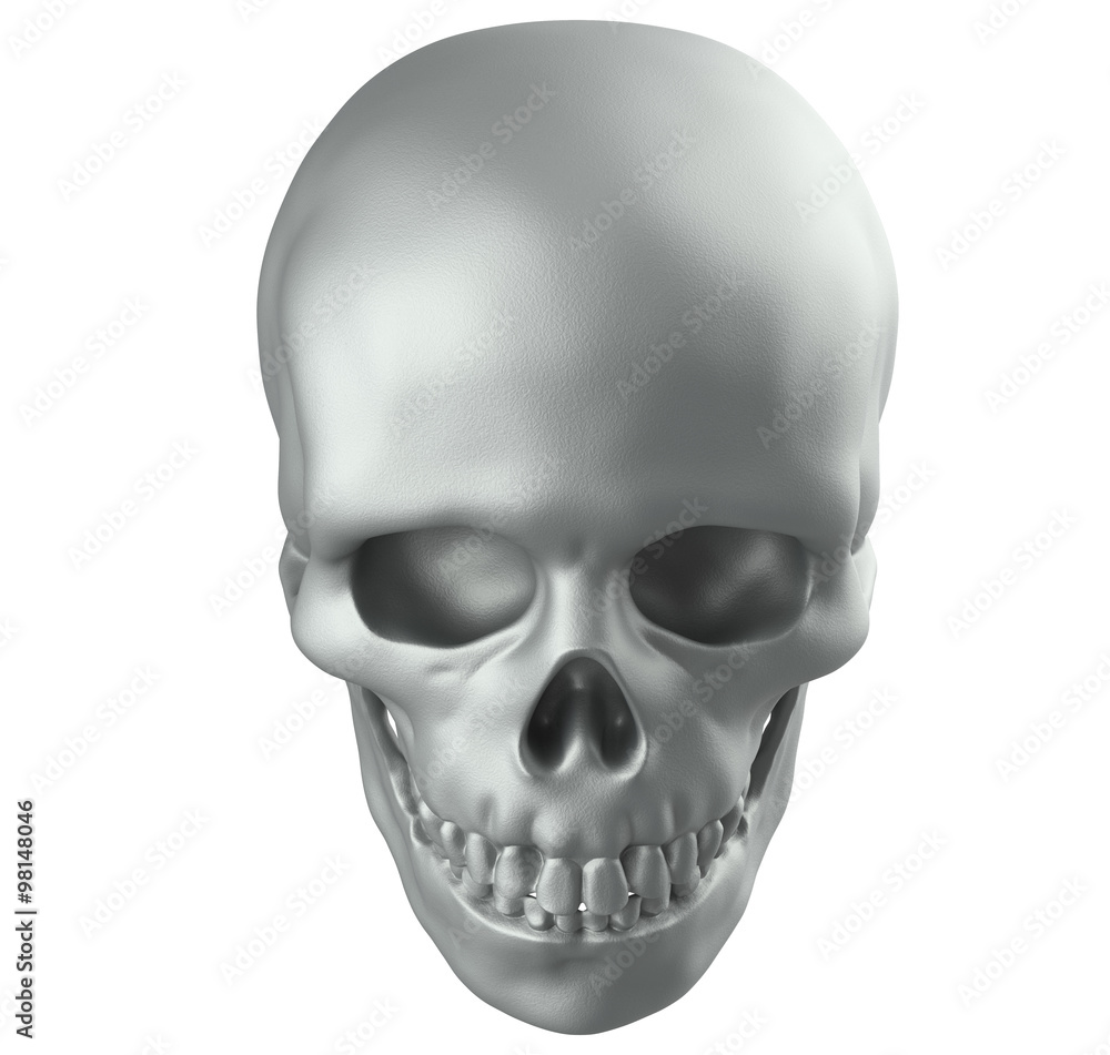 Human skull on white background with clipping path Human skull on white background with clipping path