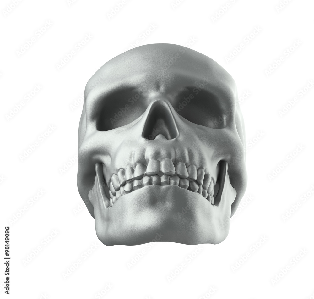 Obraz premium Human skull on white background with clipping path
