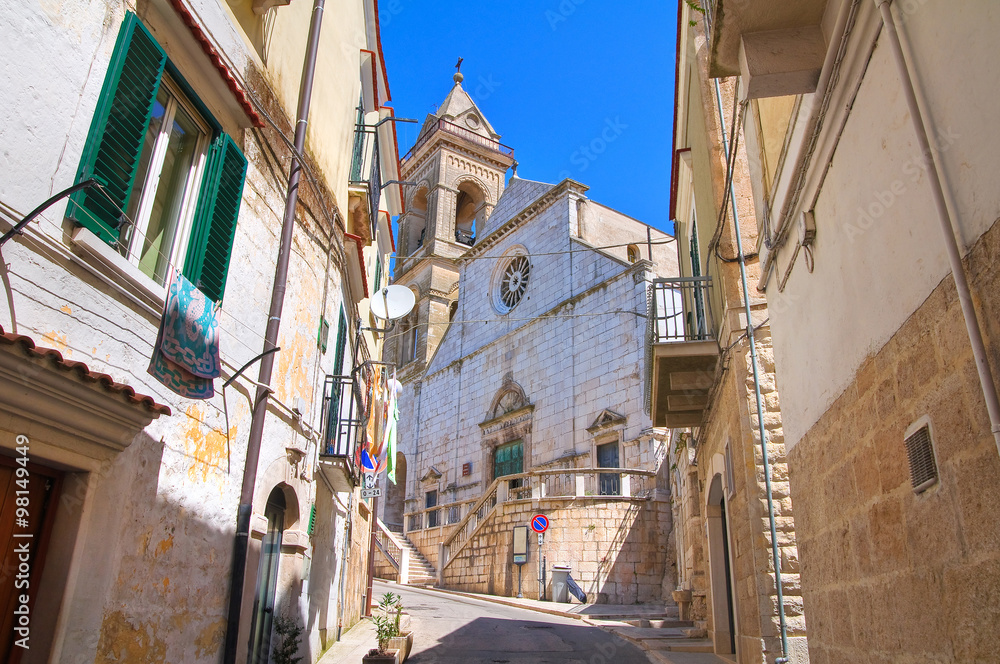 Fototapeta premium Alleyway. Minervino Murge. Puglia. Italy.