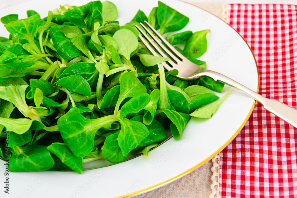 Green Fresh Salad Green Fresh Salad