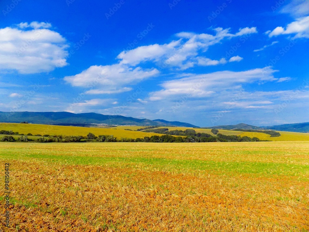 Fields, forest and sky Fields, forest and sky