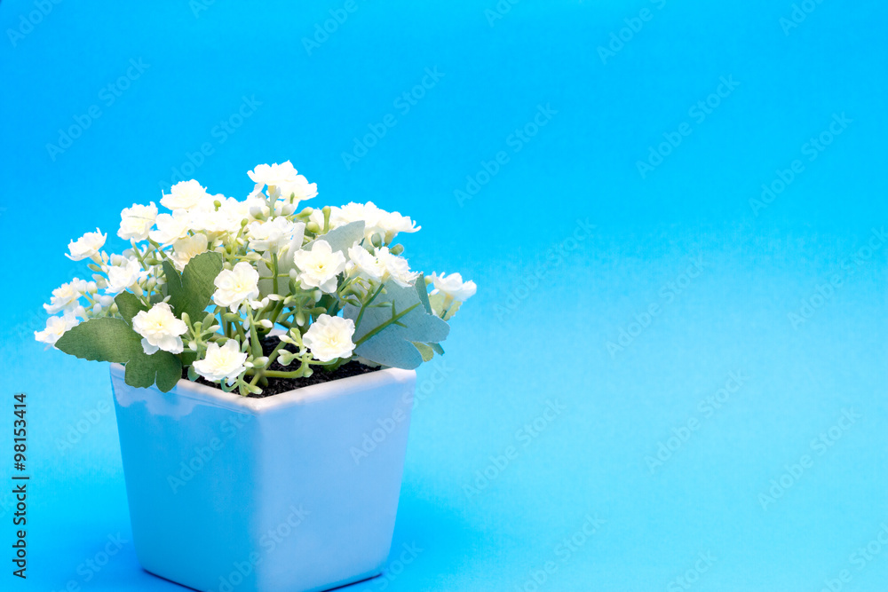 Trees, Flowers in pots on blue background