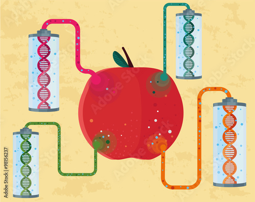 GMO concept of  genetically modified apple