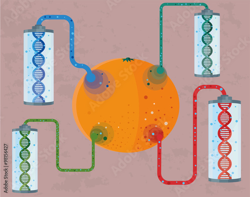 GMO concept of  genetically modified orange